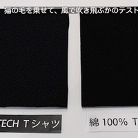 CATTECH Tee / Patch