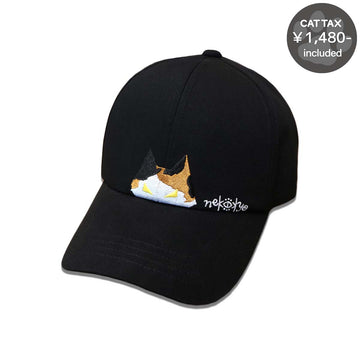 Calico Cat Cap